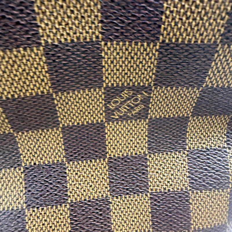 Louis Vuitton Saleya Tote Bag-19