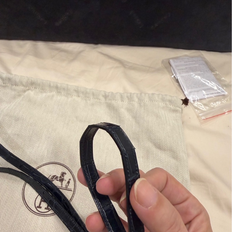 年終獎金犒賞珍愛🉐🧧HERMÈS 愛馬仕 珍貴稀有鱷魚皮Clic 16 □ 最保值經典黑色金扣-45