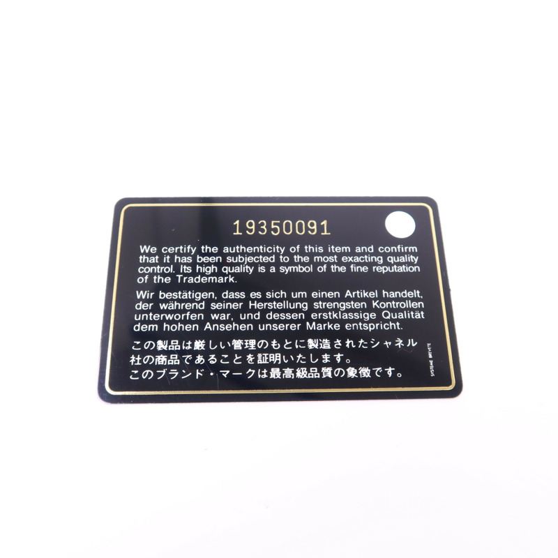 CHANEL 牛皮皮革WOC Wallet On Chain銀扣鏈帶肩背袋-18