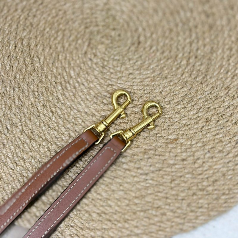 (全新未使用、適合送禮✨)🏷Celine 瑟琳.Teen Clara 老花水桶包-15