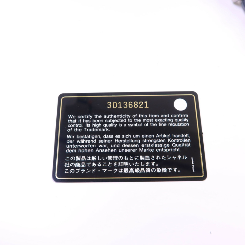 CHANEL 羊皮皮革Chanel 19 Large金扣手挽肩背兩用袋-7