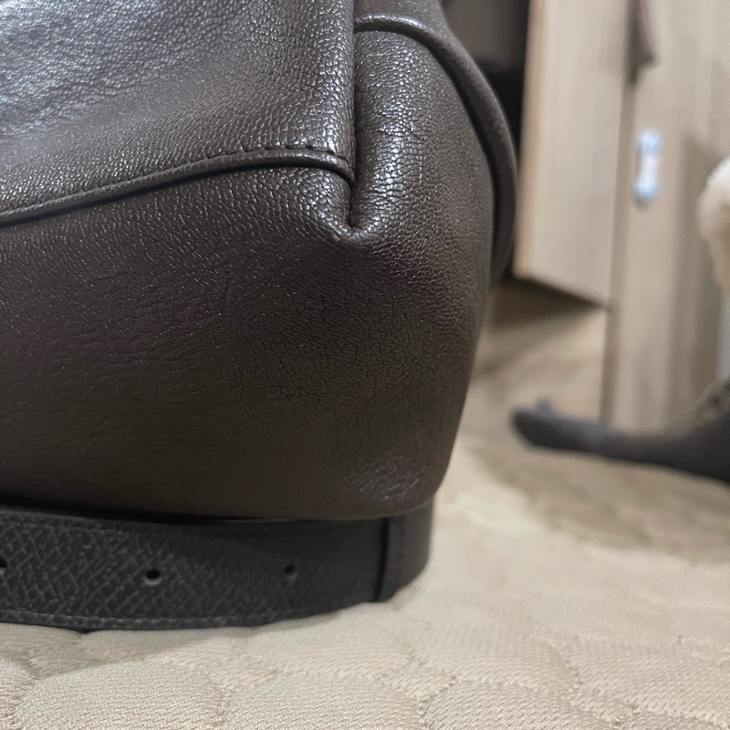 longchamp飯盒包咖色-10