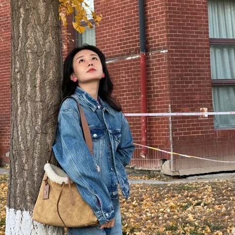 LV 滑雪系列Carryall 小號子母毛絨包芯片款30*25*12 98新配件塵袋