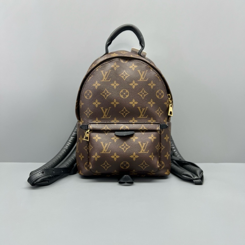 97新 LV路易威登老花雙肩包17年芯片/20*30*9cm/-0