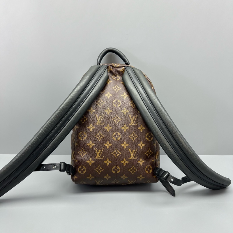 97新 LV路易威登老花雙肩包17年芯片/20*30*9cm/-1