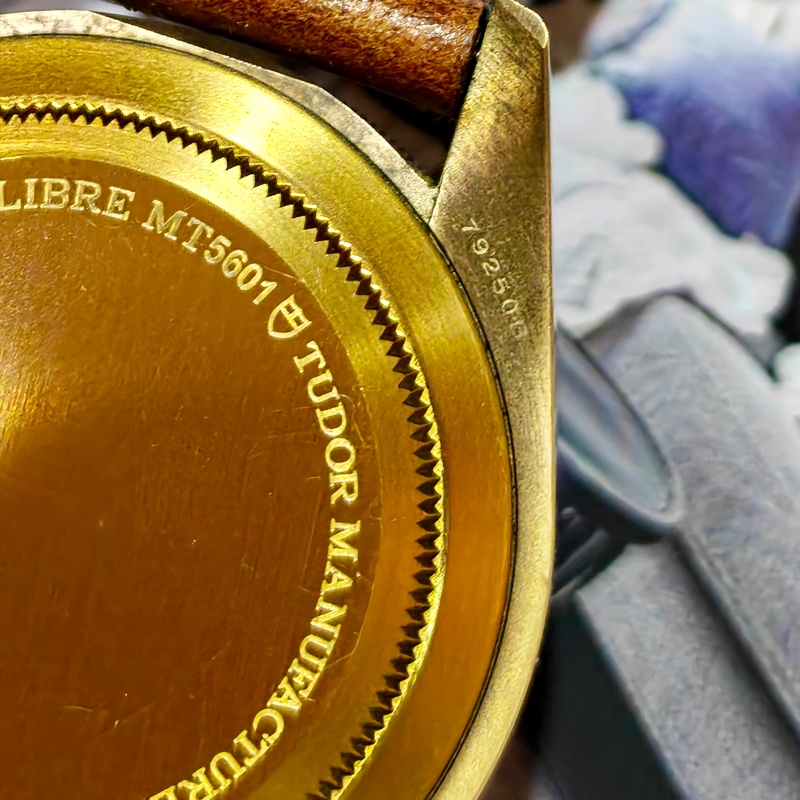 帝舵 Tudor 青銅碧灣潛水錶79250-7