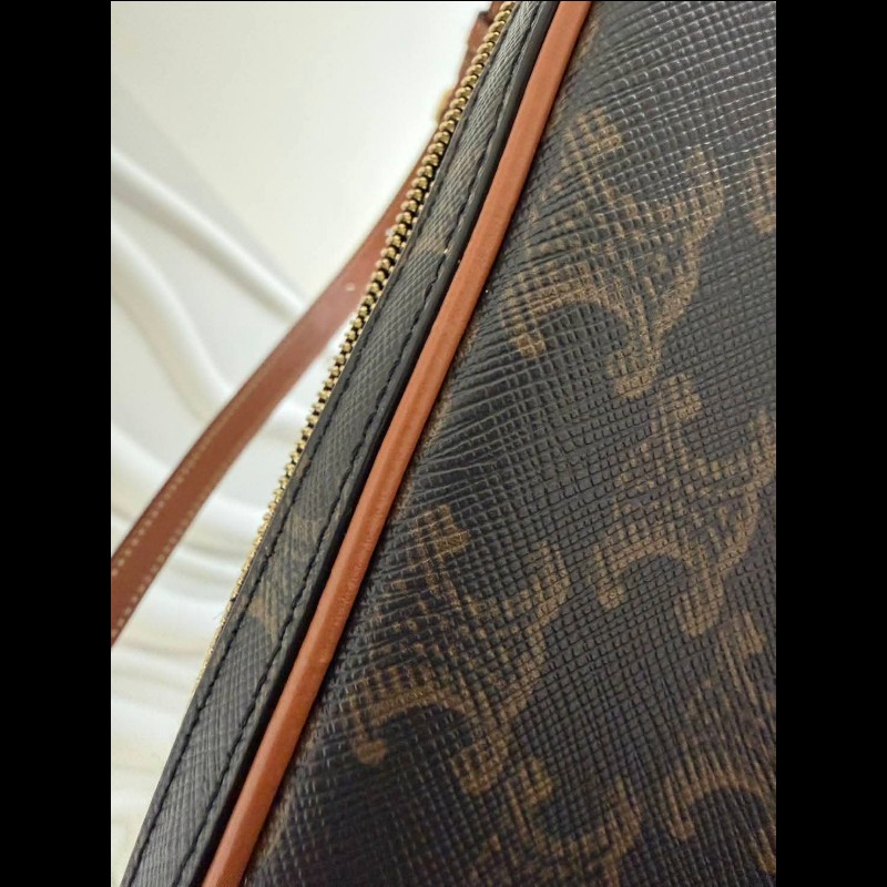 CELINE 凱旋門系列經典老花相機包-18