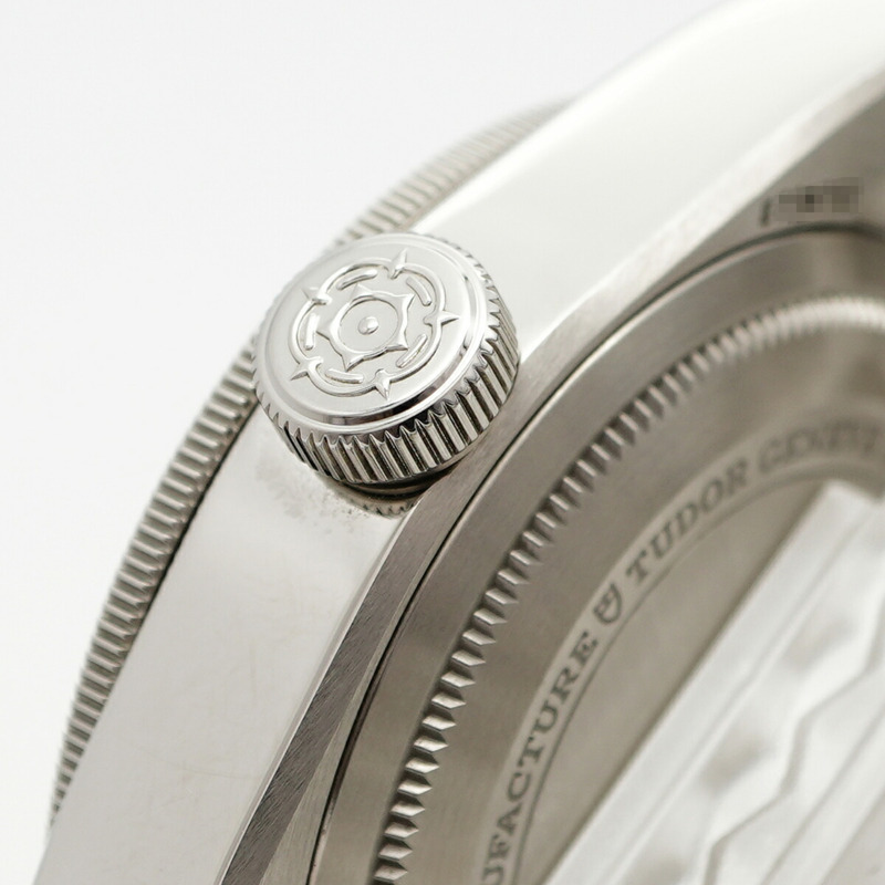 帝舵碧灣GMT 79830錶盤男士腕錶-10