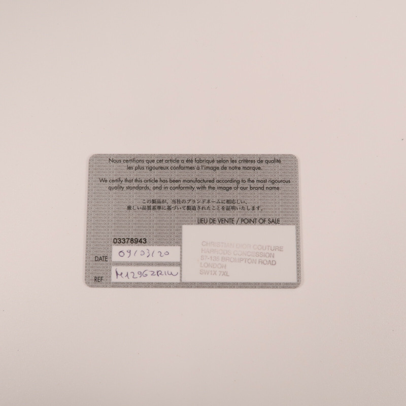 Dior 帆布Book Tote Medium手挽袋-9