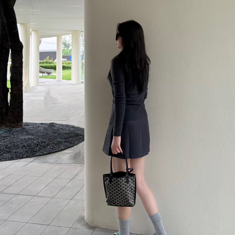 GOYARD 新版Anjou mini tote - 黑-13