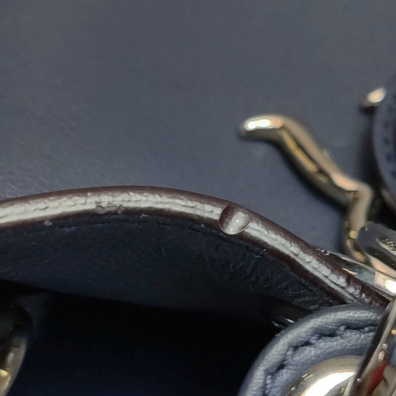 Dior Diorissimo中號牛皮蛇皮純色Dior字母吊飾子母包單肩包-21