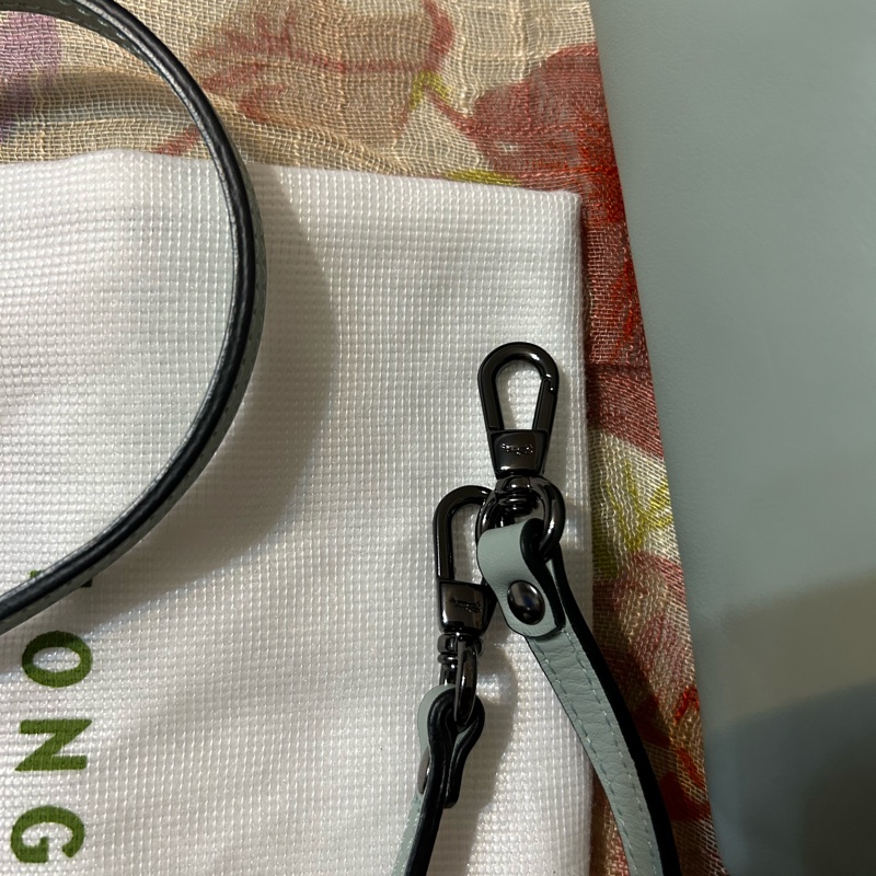 LONGCHAMP LE PLIAGE XTRA 系列牛皮水餃包/斜背/手提 XS鼠尾草綠 有防塵袋-16