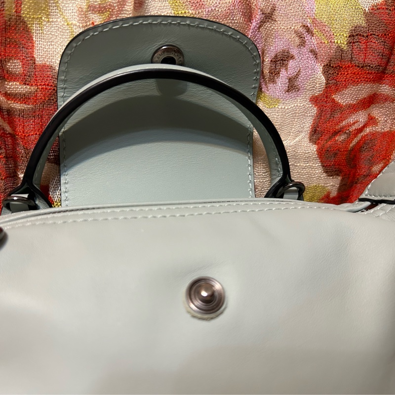 LONGCHAMP LE PLIAGE XTRA 系列牛皮水餃包/斜背/手提 XS鼠尾草綠 有防塵袋-19