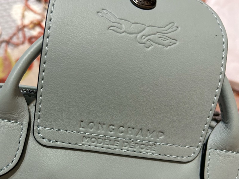 LONGCHAMP LE PLIAGE XTRA 系列牛皮水餃包/斜背/手提 XS鼠尾草綠 有防塵袋-20