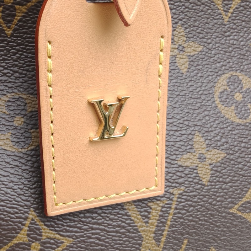 LOUIS VUITTON CARRYALL小號29配子袋老花PVC肩背包金扣晶片-4