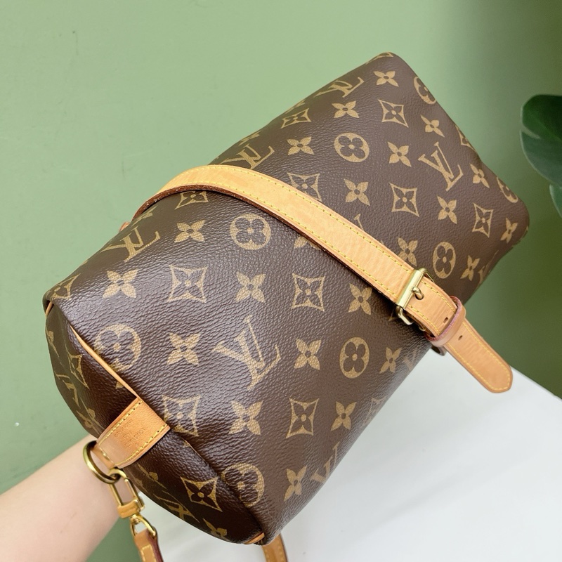LV speedy25老花波士頓包枕頭包-3