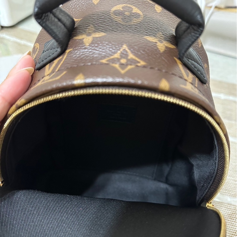 Palm Springs Mini-12