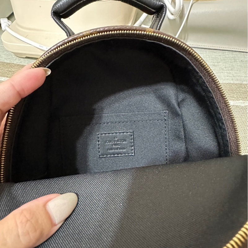 Palm Springs Mini-13