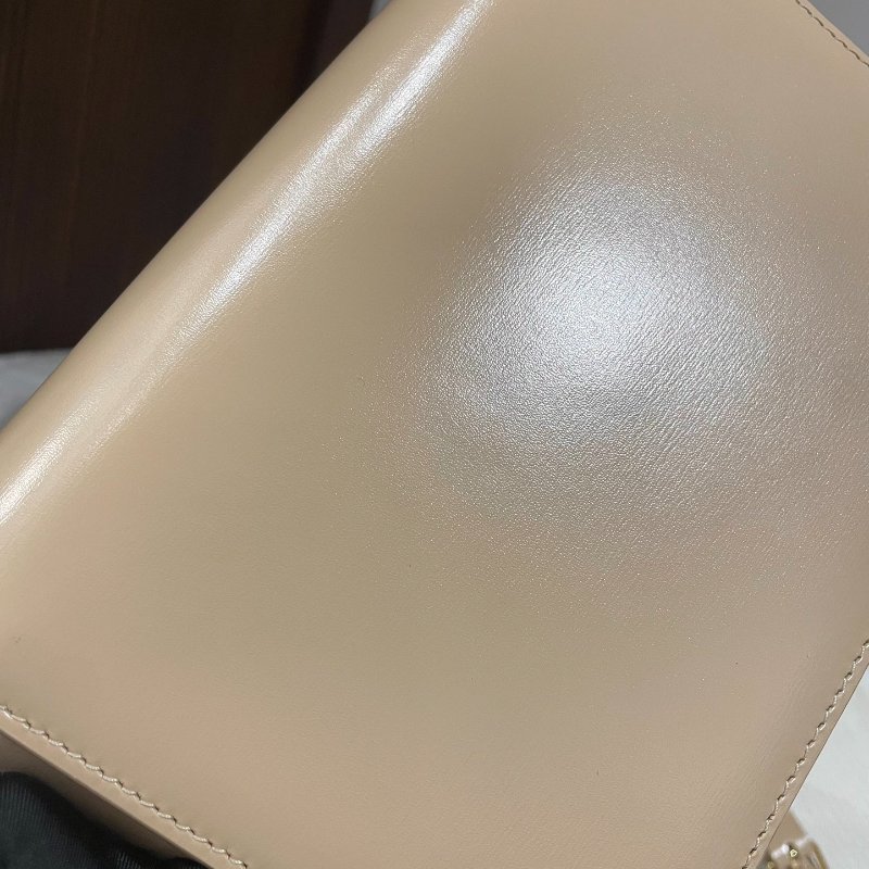 Celine / 賽琳 Teen Triomphe 金屬鎖扣可調節肩帶 亮澤牛皮革 斜挎單肩包 裸粉色-6