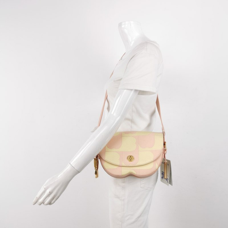 Burberry Chess牛皮帆布拼色圖案金屬旋扣斜挎包單肩包-1