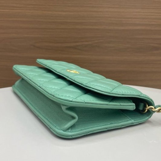 芯片款 香奈兒/Chanel woc翻蓋羊皮金球鏈條包-9