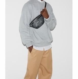 Gucci 男士 小號GG腰包80 90碼小號、23cm*5cm*13cm-6