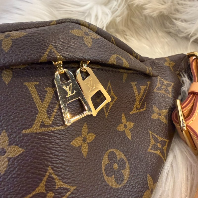 LV Bumbag 老花胸腰包-6