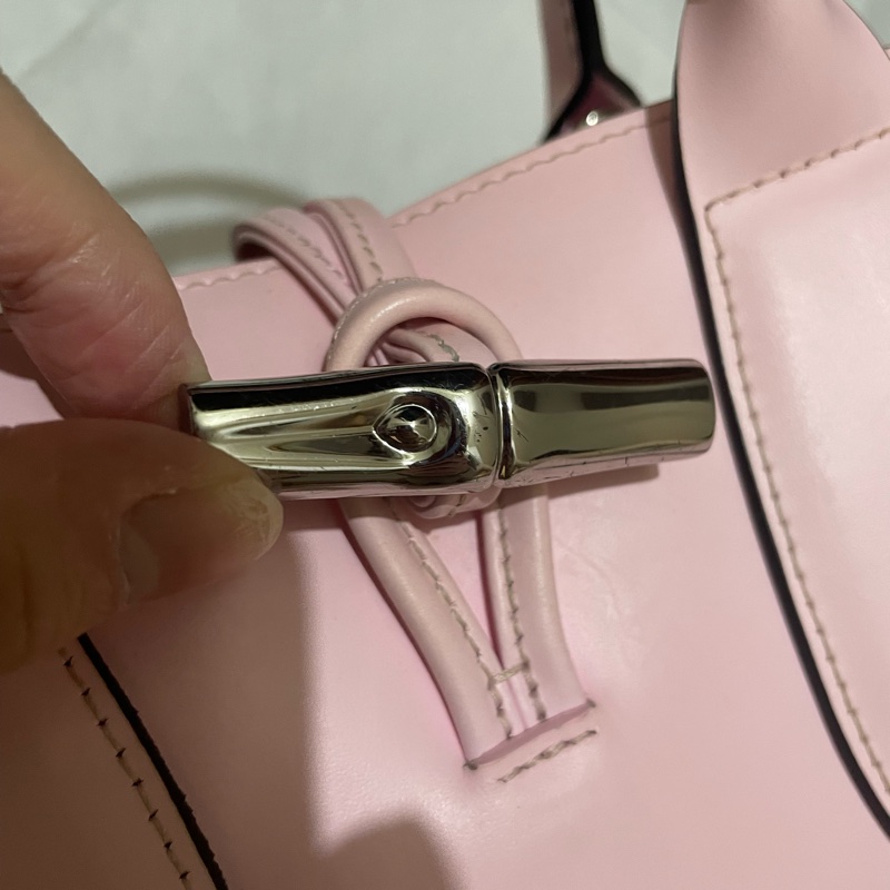 Longchamp roseau 櫻花粉S號竹節包-1