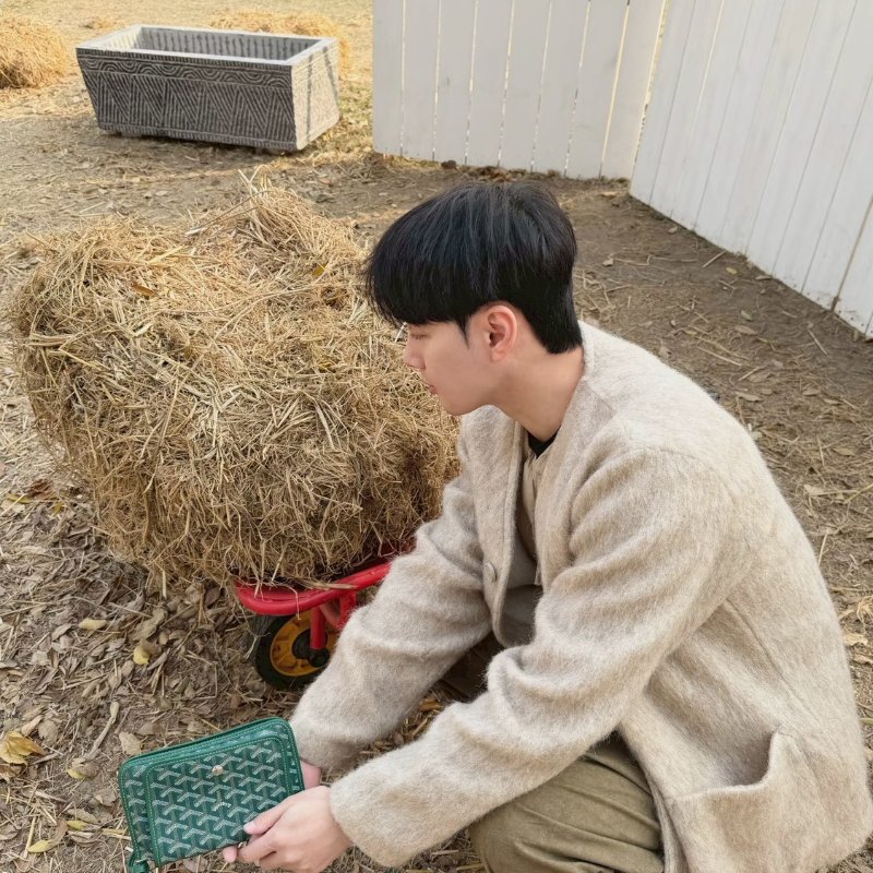 GOYARD Plumet 信封小包 - 綠-10