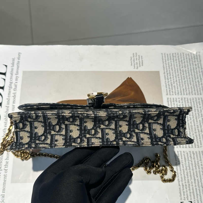 DIOR/迪奧 經典老花馬鞍包大號woc包-6