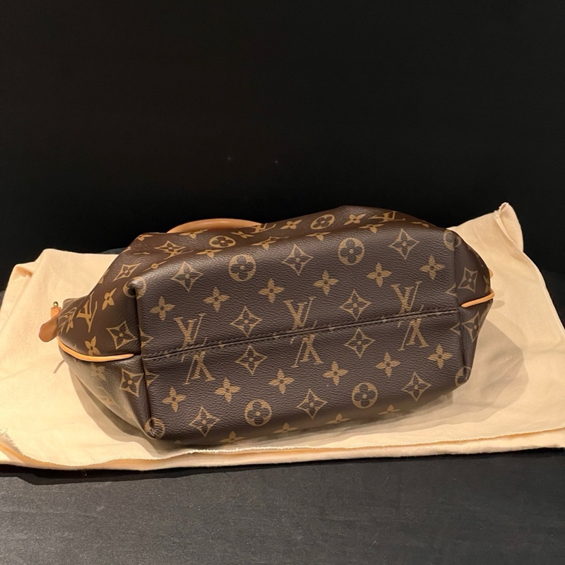 路易威登 LV 老花小號餃子包-4