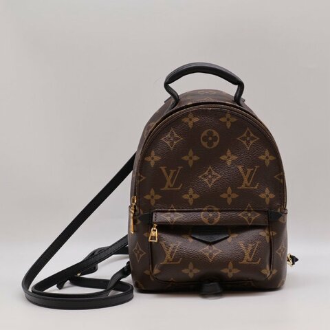 LOUIS VUITTON Palm Springs後背包 - Mini