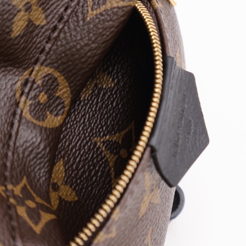 LOUIS VUITTON Palm Springs後背包 - Mini-3