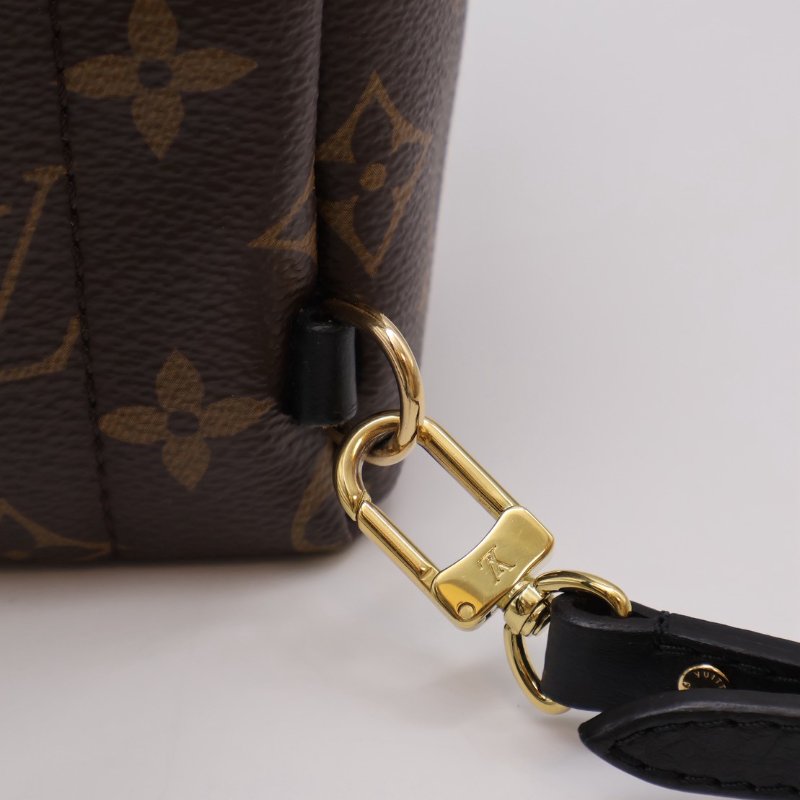 LOUIS VUITTON Palm Springs後背包 - Mini-6