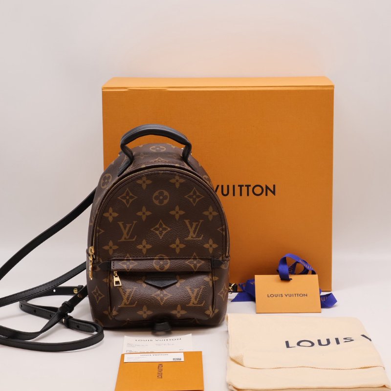 LOUIS VUITTON Palm Springs後背包 - Mini-15