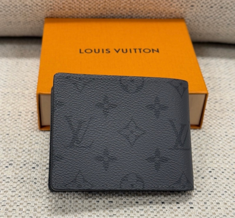 LOUIS VUITTON Slender 經典老花 Eclipse-1