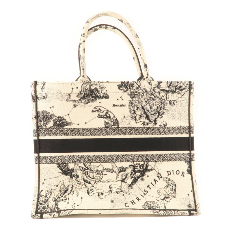 Dior 帆布Book Tote Large肩背袋-1