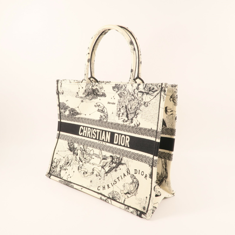 Dior 帆布Book Tote Large肩背袋-2