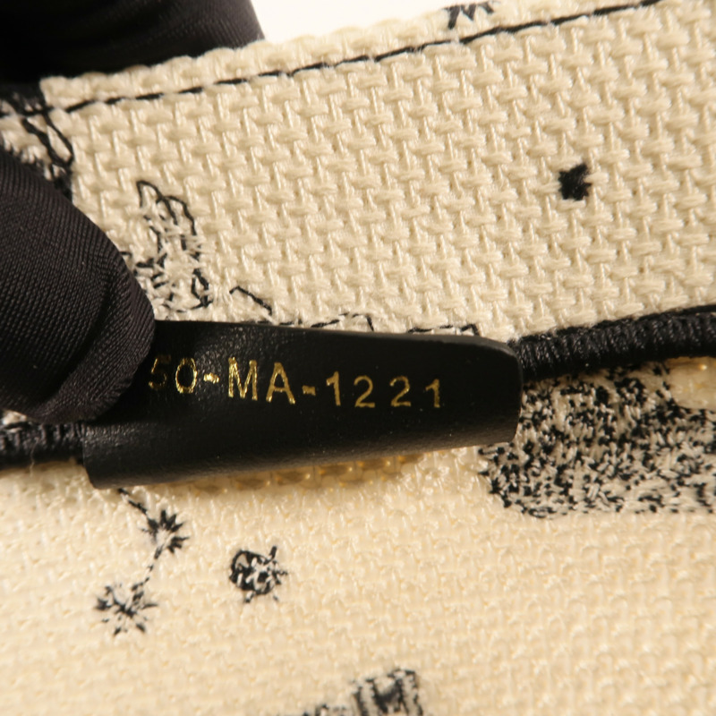 Dior 帆布Book Tote Large肩背袋-12