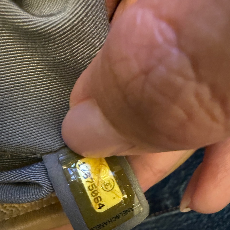 CHANEL龍蝦包 楊丞琳包-16