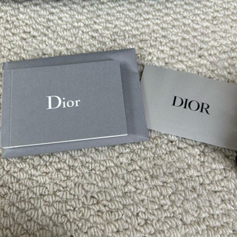 迪奧DIOR Camp系列藤格紋郵差包 有肩帶 可單肩可斜挎 容量實用 日常百搭 包型非常的立體飽滿-15