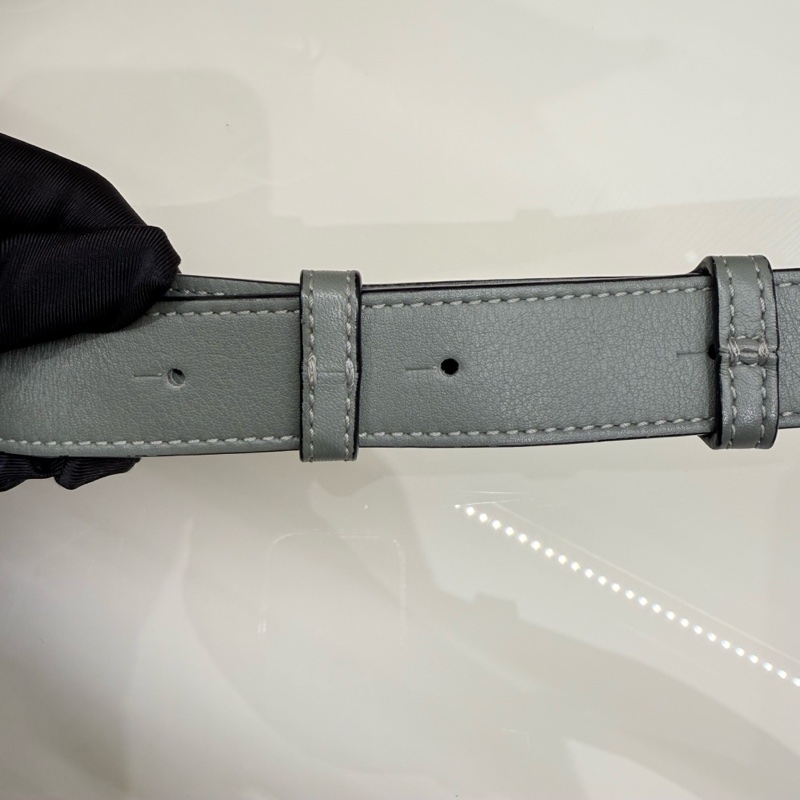 Loewe 98新閒置 Mini Puzzle 鼠尾草綠 2026年招財綠色-21