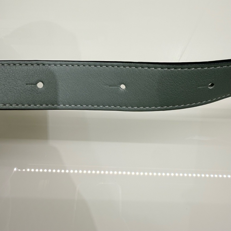 Loewe 98新閒置 Mini Puzzle 鼠尾草綠 2026年招財綠色-22