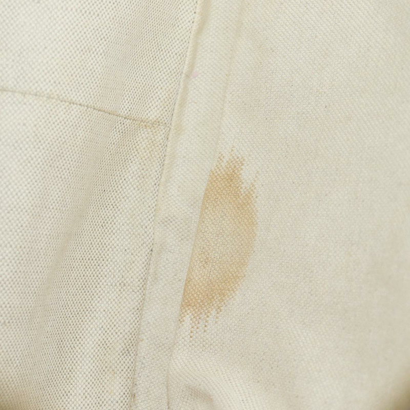 【日本直送】GUCCI Micro GG 帆布 Guccissima 手袋，米色/金色皮革款，貨號 309618，正品編號 164485V-10