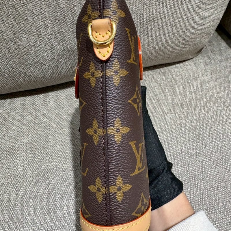 Louis Vuitton 老花薯條包-2