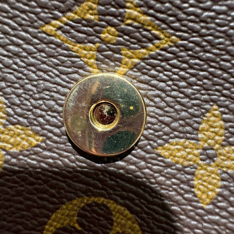 Louis Vuitton 老花薯條包-17