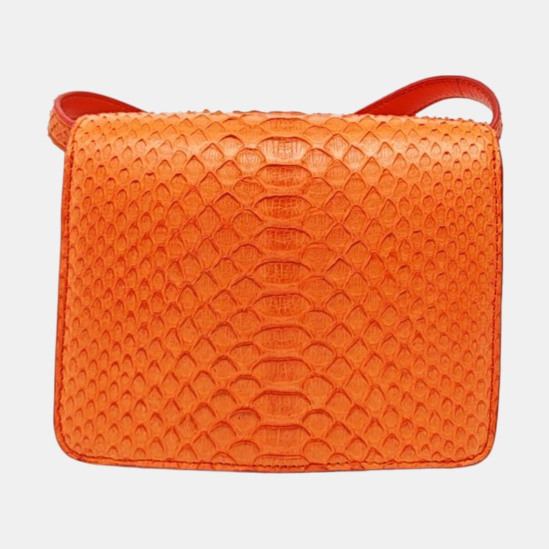 CELINE CLASSIC BOX迷你橙色蛇皮豆腐包單肩包斜挎包金色五金可拆卸肩帶-4