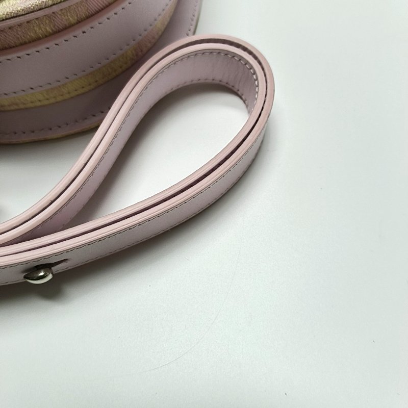 BURBERRY迷你拼色帆布單肩包斜挎包銀色五金-10