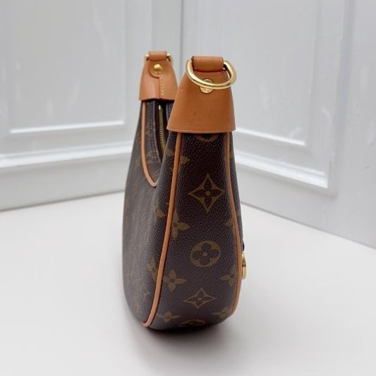 芯片款 路易威登/Louis Vuitton 經典老花loop 月亮包-3