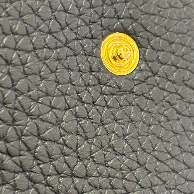 Hermes TC皮 Mini Evelyne-7